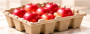 Fruit and Fresh Produce Packaging - Apple tray