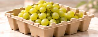 Fruit and Fresh Produce Packaging - Grape tray