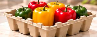 Fruit and Fresh Produce Packaging - Vegetable tray
